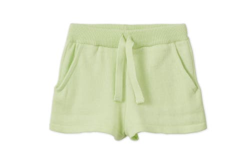 Vild House Of Little Organic Knit Shorts In Light Green
