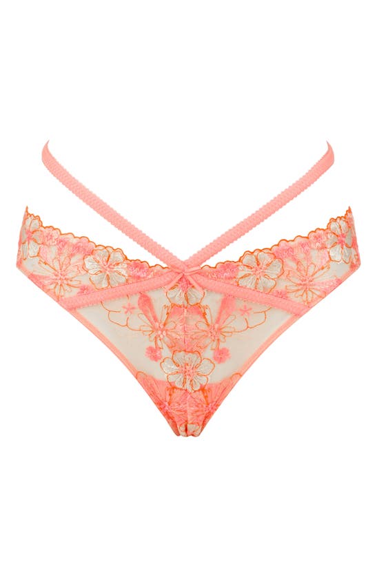 Shop Love, Vera Strappy Mesh & Floral Embroidered Briefs In Coral