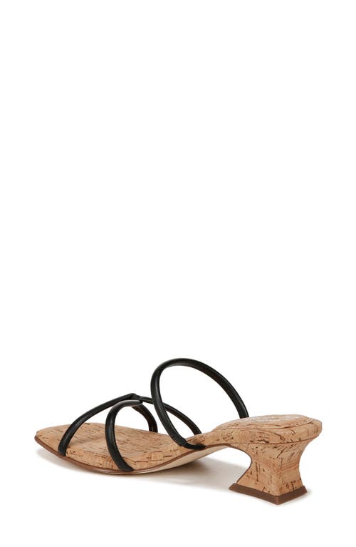 Circus Ny By Sam Edelman Faye Heels In Black