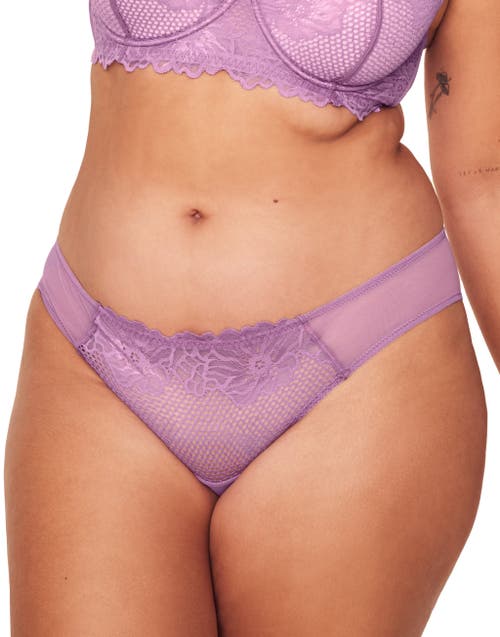 Shop Adore Me Marella Bikini Panties In Dark Purple