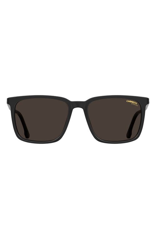 Carrera Eyewear 55mm Polarized Rectangle Sunglasses in Black/Brown
