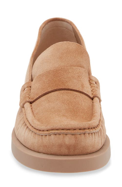 Shop Stuart Weitzman Blake Loafer In New Camel