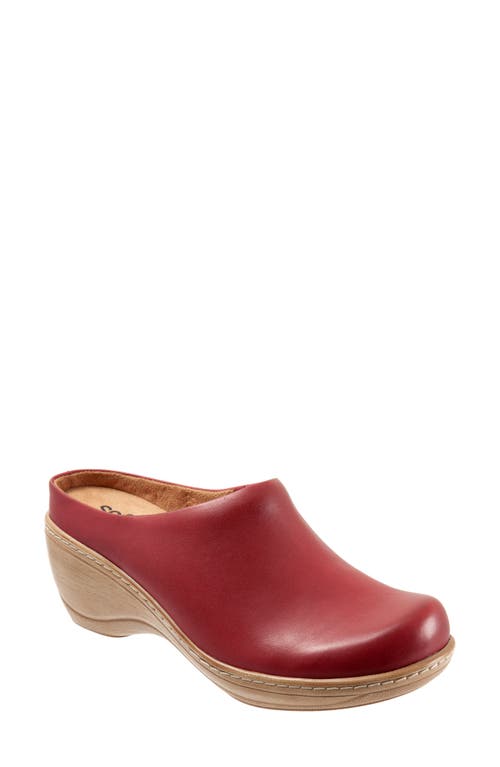 SoftWalk Madison Clog Dark Leather at Nordstrom