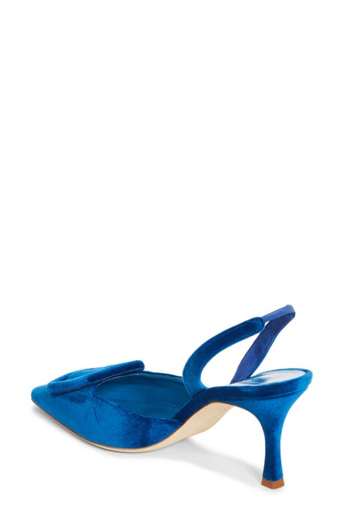 Manolo Blahnik Maysli Suede Buckle Halter Pumps In Blue