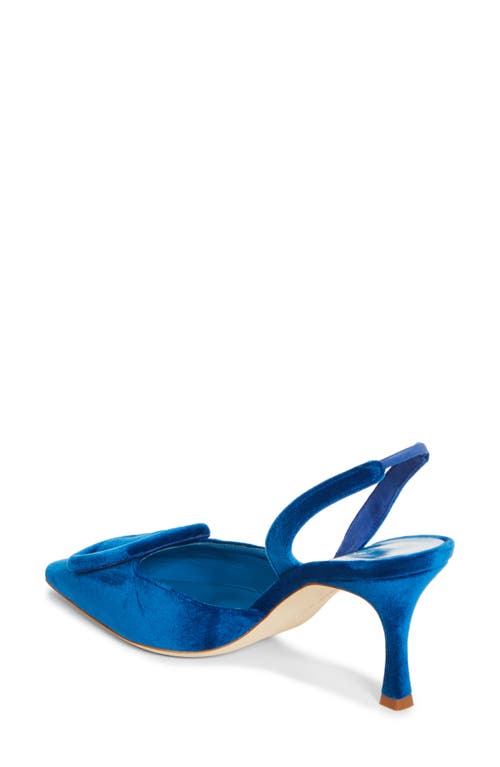 Shop Manolo Blahnik Maysli Buckle Slingback Pointed Toe Pump In Blue