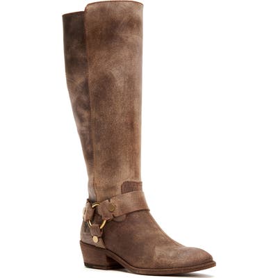 Frye Carson Harness Tall Boot, Brown