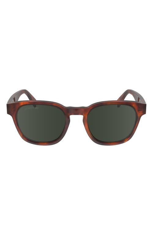 Premium Heritage 49mm Rectangular Sunglasses in Havana Blonde