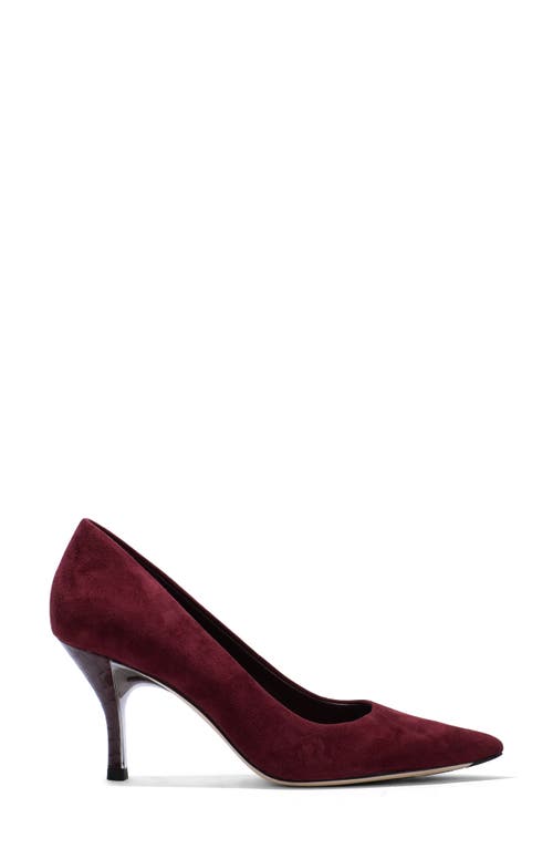 Donald Pliner Elexa Pointed Toe Pump In Cherry