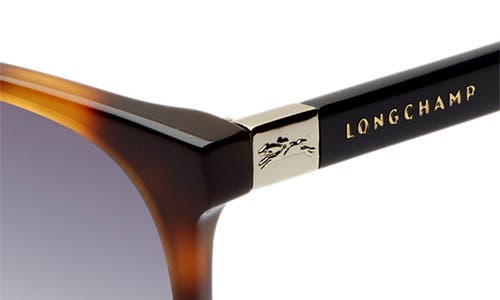 Shop Longchamp Le Pliage 53mm Gradient Cat Eye Sunglasses In Havana Blue/grey