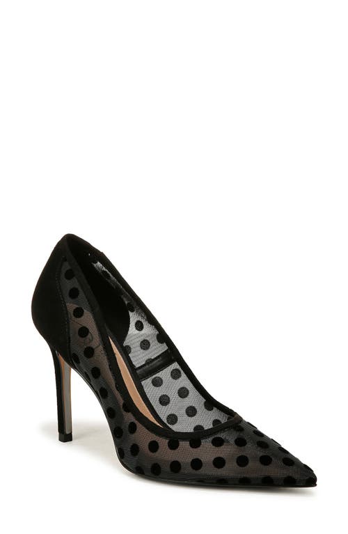 Shop Sam Edelman Hazel Mesh Pointed Toe Pump In Black Mesh