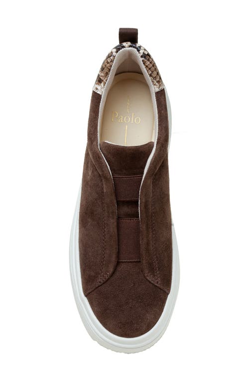 Linea Paolo Golde Platform Sneaker In Chocolate Brown/brown