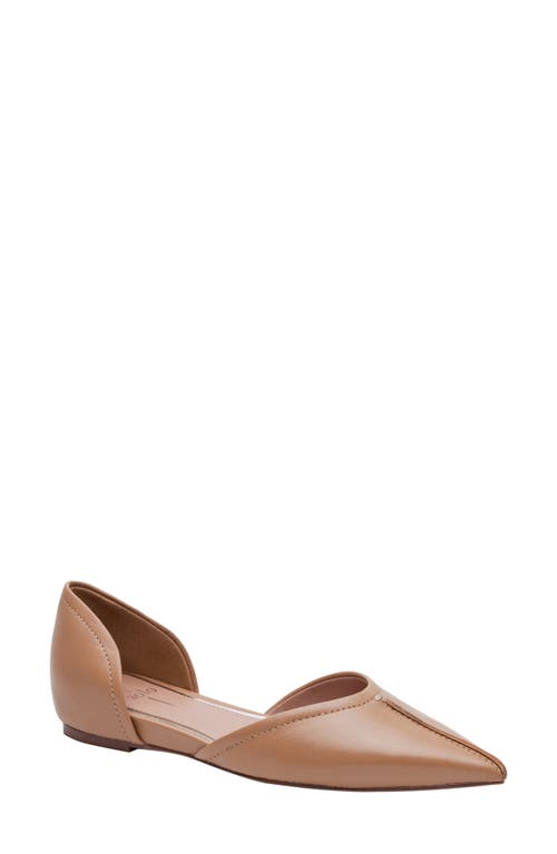 Linea Paolo Doria Pointed Toe Flat at Nordstrom,