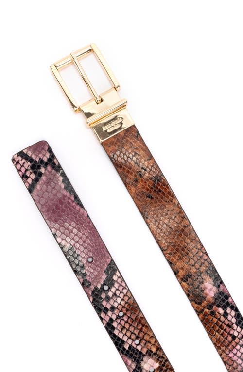 Shop Kate Spade New York Reversible Snake Embossed Belt In Natural/hot Fudge