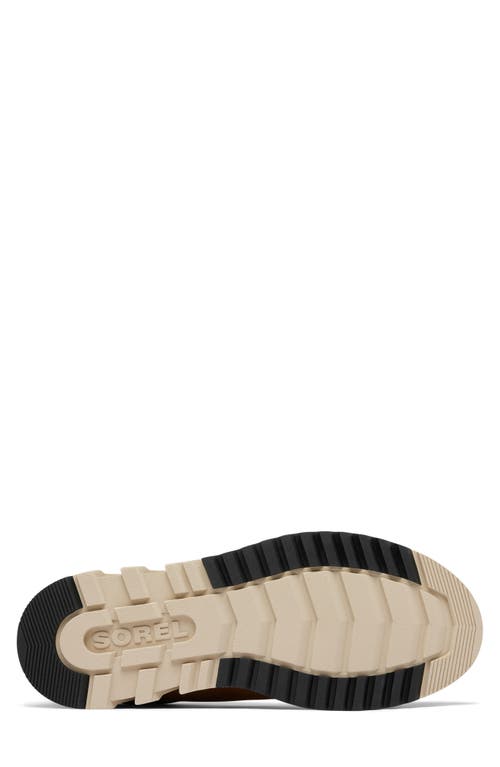 Sorel Men's Mac Hill Lite Hiker Low Waterproof Lace-up Sneakers In Elk/black