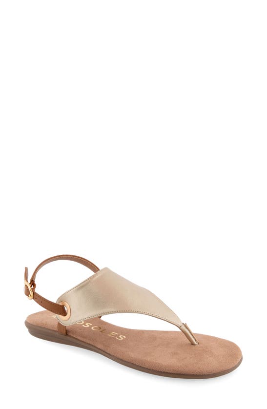 Shop Aerosoles Conclusion Slingback Sandal In Gold Metallic