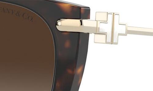 Tiffany & Co Tf4178 Cat-eye Frame Acetate Sunglasses In Havana/brown Gradient