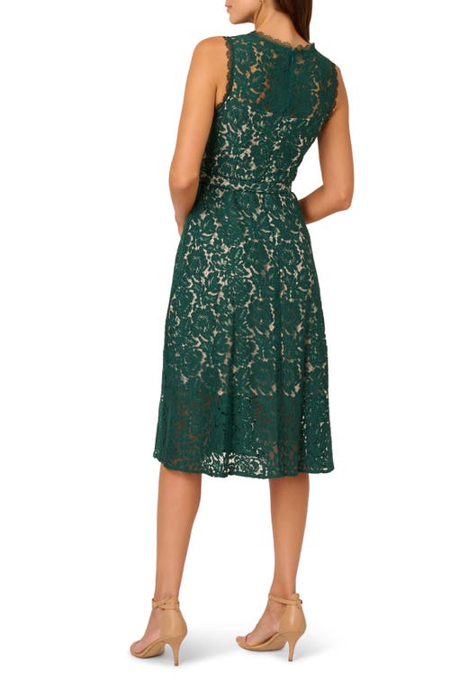 ADRIANNA PAPELL ADRIANNA PAPELL BELTED SLEEVELESS LACE MIDI DRESS