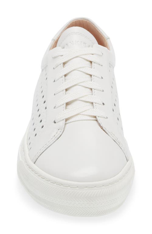 Shop Frankie4 Mim Iv Perforated Sneaker In White Weave