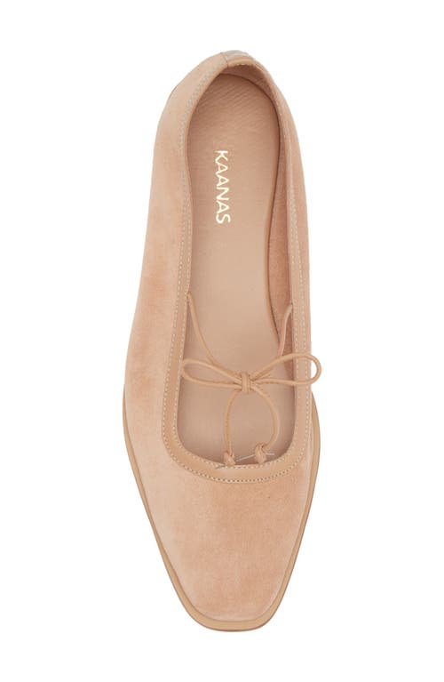 Kaanas Ballet Flat In Blush