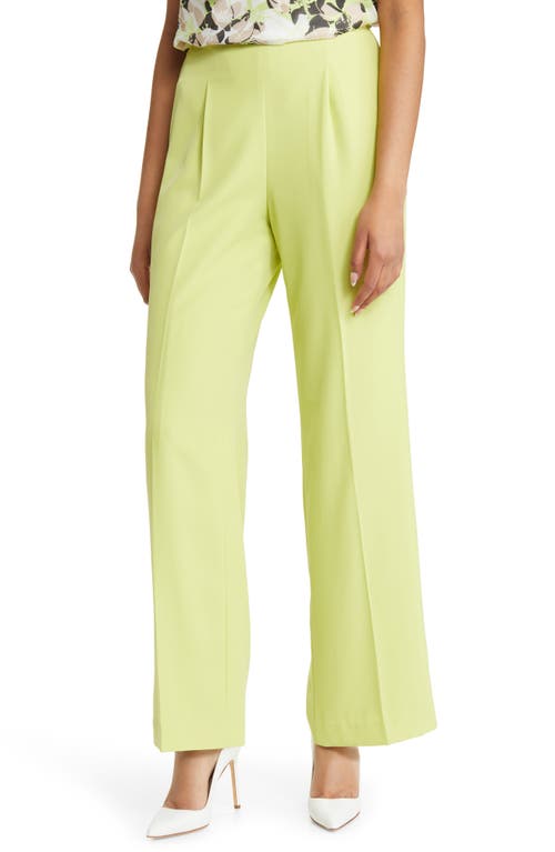 Anne Klein Hollywood Waist Side Zip Wide Leg Pants in Sprout