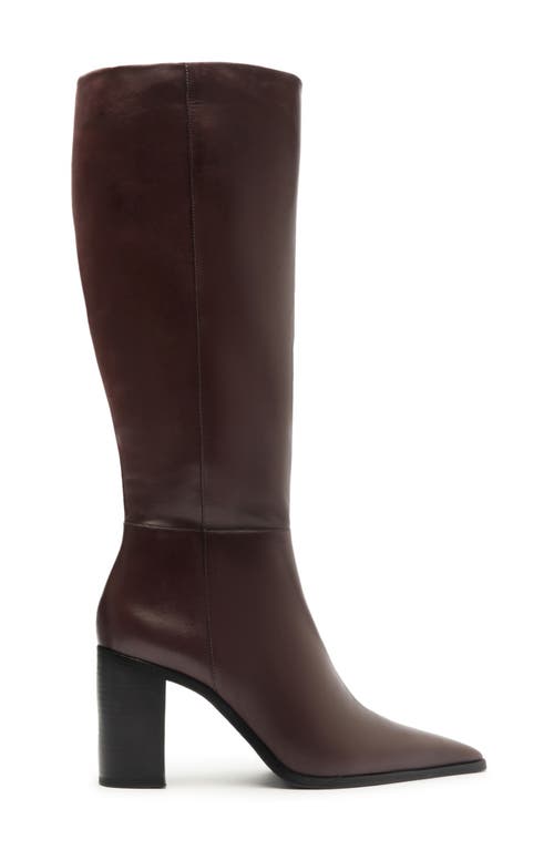 Shop Schutz Mikki Up Block Pointed Toe Knee High Boot In Brown