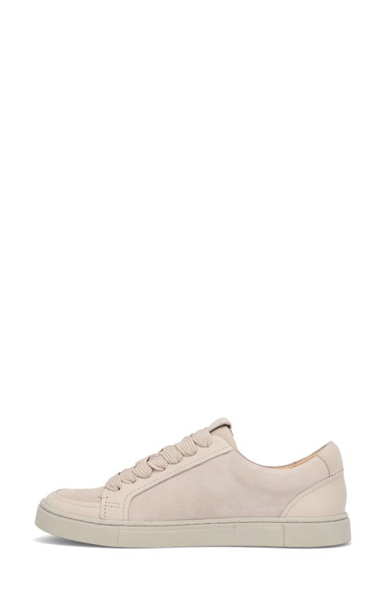 Shop Frye Ivy Low Top Sneaker In Ivory