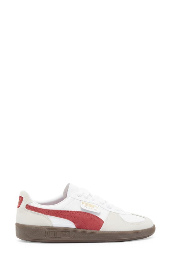 Shop Puma Palermo Leather Sneaker In  White-vapor Gray-club Red