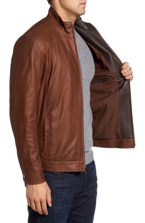 Remy Leather Leather Jacket In Dakota/cocoa