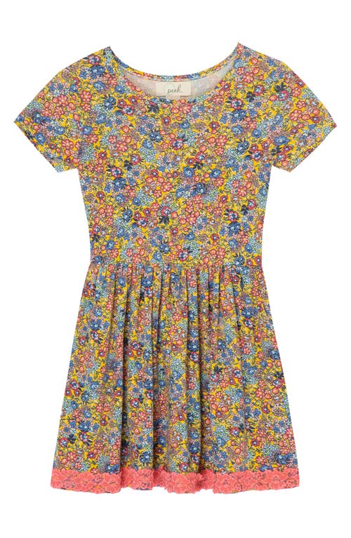 Peek Aren'T You Curious Kids' Floral Garden Print Knit Dress in Floral Print at Nordstrom, Size 2T