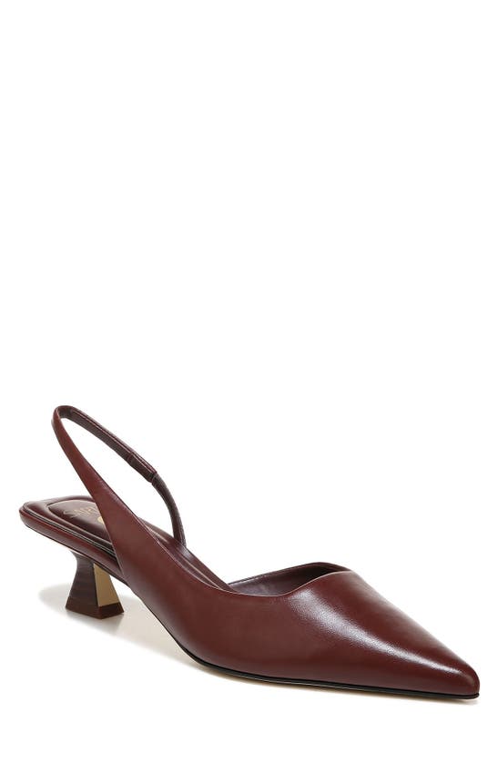 Sarto By Franco Sarto Devin Pointed Toe Slingback Pump In Wine