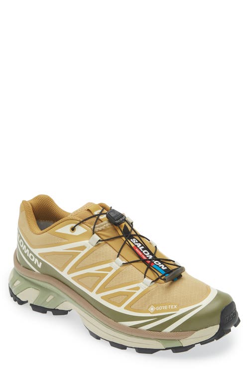 Salomon XT-6 Gore-Tex® Waterproof Sneaker in Antelope/Icicle/Portabella 