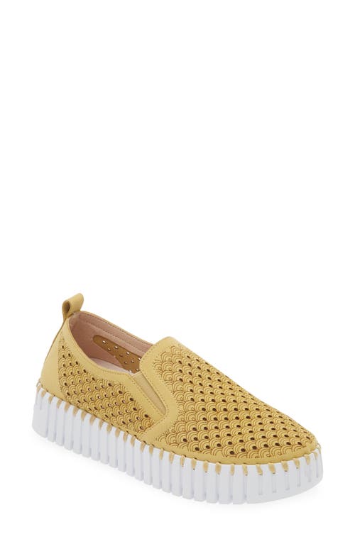 Shop Ilse Jacobsen Tulip Slip-on Sneaker In Citronella