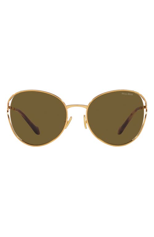 58mm Phantos Sunglasses in Dark Brown