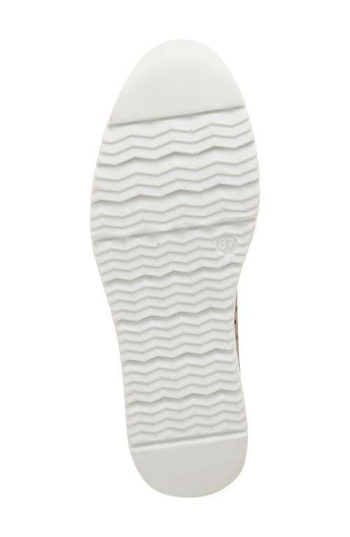 Flexus By Spring Step Centrics Slip-on Sneaker In Taupe