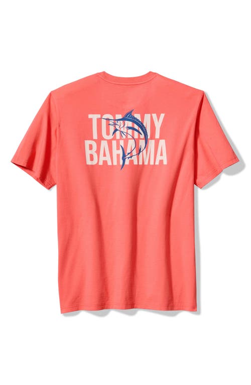 Shop Tommy Bahama Marlin Driver Graphic T-shirt In Dubarry Coral