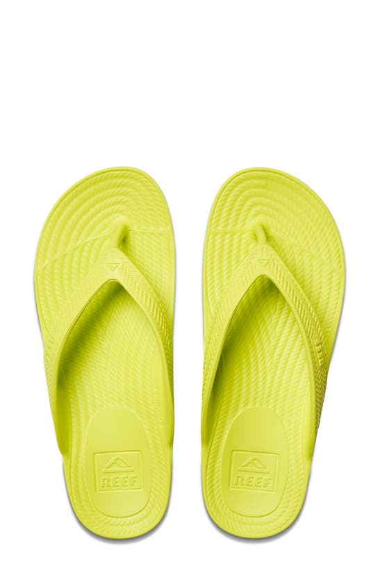 Shop Reef Water Court Flip Flop In Lime