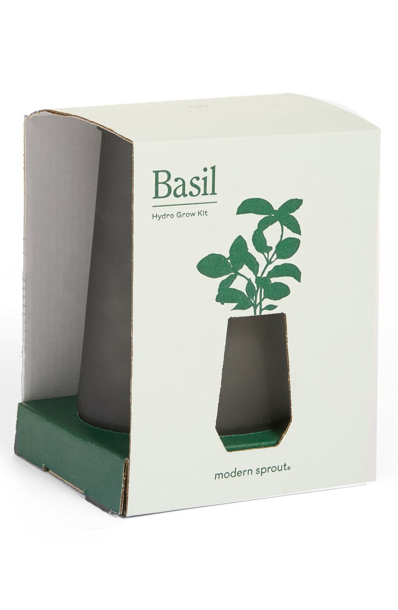 Modern Sprout Tapered Tumbler Basil Hydro Grow Kit Nordstrom