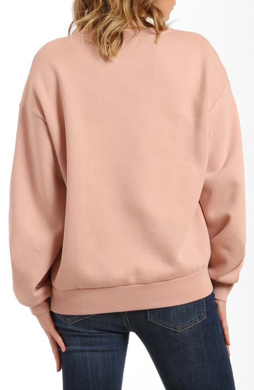 Shop Brooklyn Industries Eva Logo Sweatshirt In Pale Mauve