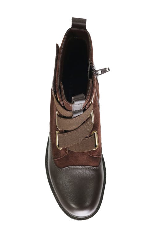 David Tate Club Water Resistant Bootie In Brown/brown Combo