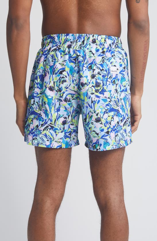 Boardies Amelia Mid Length Swim Trunks In Blue