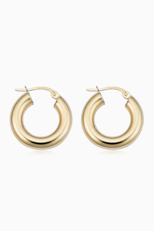 Oradina 18k Gold Everything Bold Midi Hoops In Yellow Gold