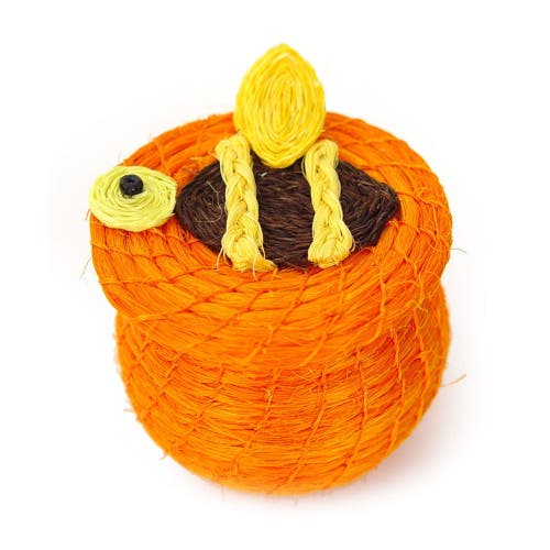 Shop Mbare Animal Lidded Basket In Honey Bee