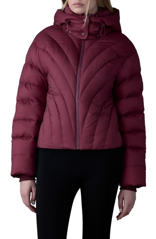 Shop Mackage Hope 750 Fill Power Down Puffer Jacket In Garnet