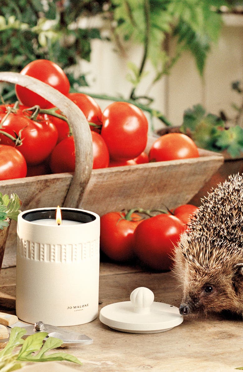 Jo Malone London™ Green Tomato Vine Scented Candle Nordstrom