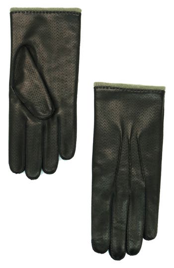 Portolano Perforated Leather Gloves In Black