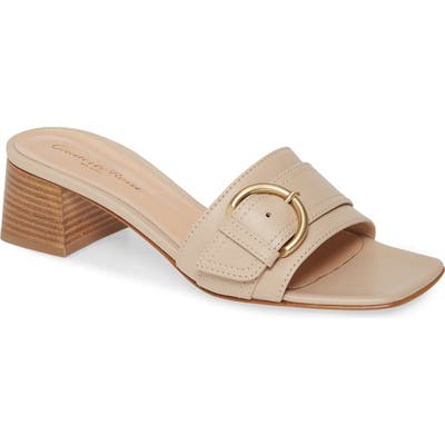 Gianvito Rossi Buckle Slide Sandal - Grey