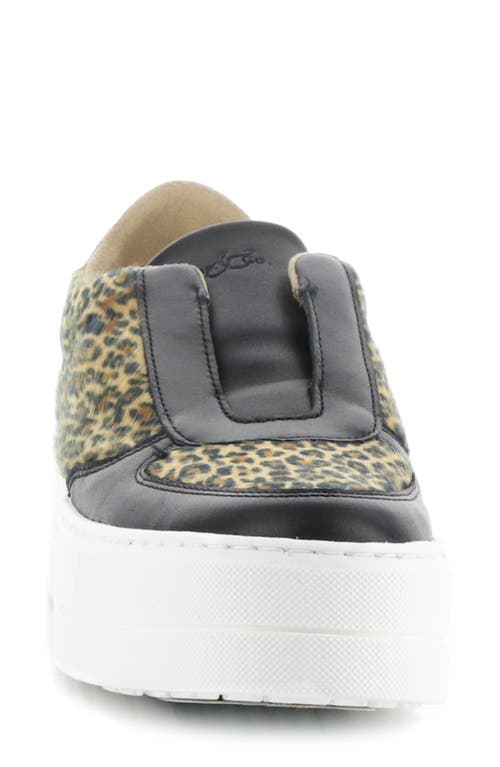 Bos. & Co. Magali Platform Slip-on Sneaker In Black/camel Verona/f