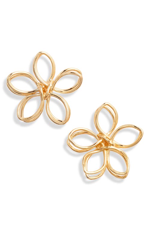 Shop Ki-ele Jasmine Flower Wire Stud Earrings In Gold