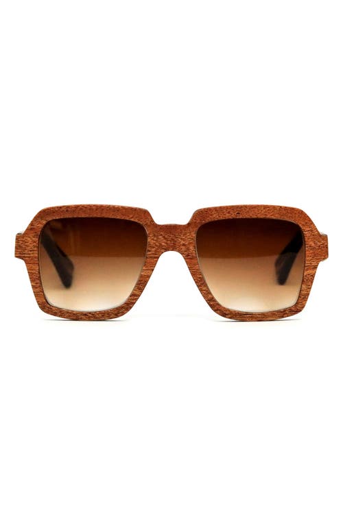 Manyara 50mm Gradient Polarized Square Sunglasses in Mahogany /Orange Gradient