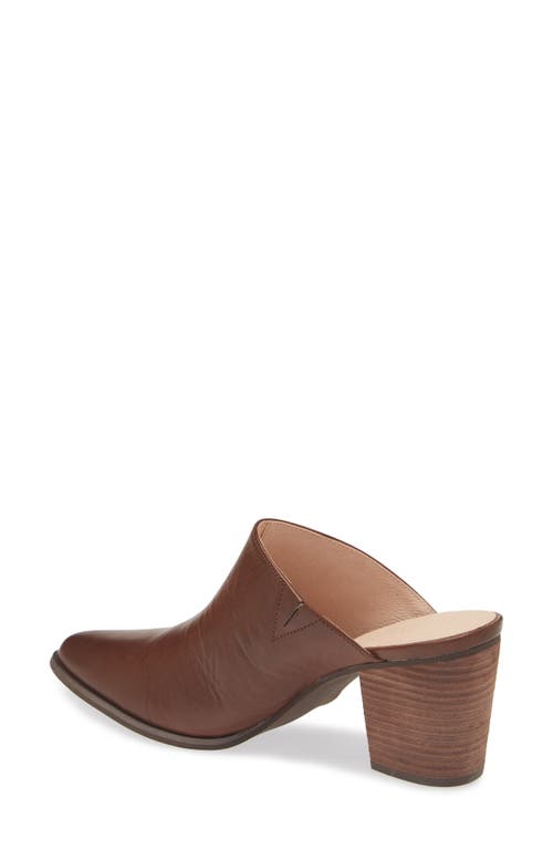 Chocolat Blu Emery Pointed Toe Mule In Dark Brown Leather